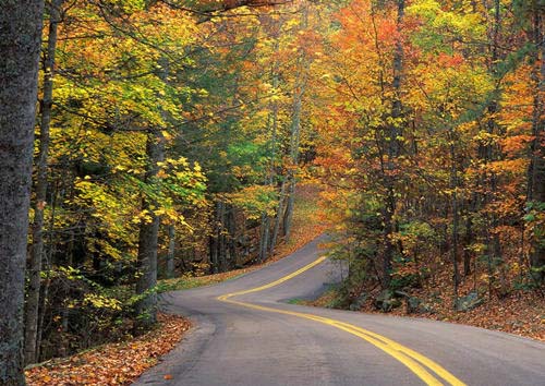 灌縫膠廠家、貼縫帶廠家環(huán)保公益倡議：健康出行，共建美好公路