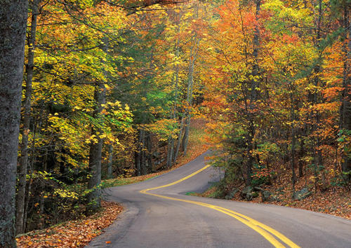 道路灌縫膠,道路灌縫膠廠家，一帶一路，節(jié)能減排